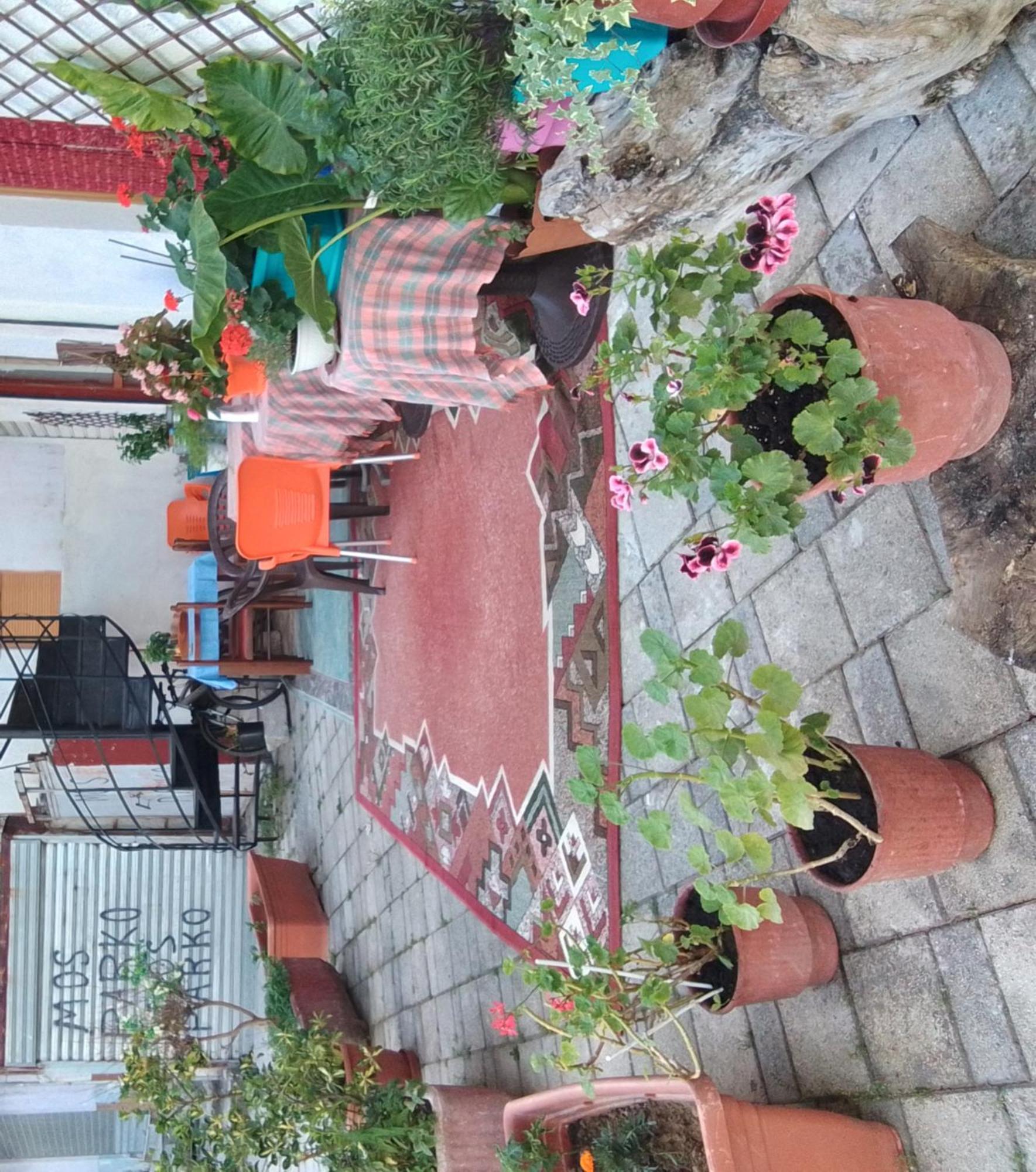 بيت شباب Casa Mia فلورا المظهر الخارجي الصورة